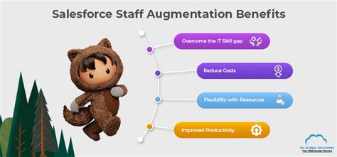 Salesforce Support & Augmentation .